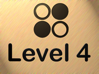 Level 4 Ventures Inc